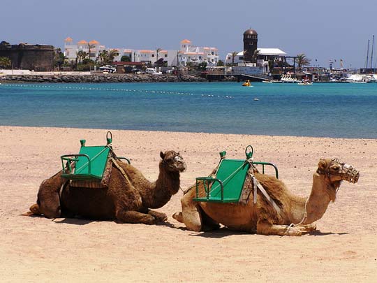 Stranden ved Caleta de Fuste. Foto: inaka queralt/flickr
