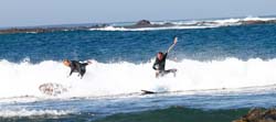 Surfere på Fuerteventura. Foto: bi0/flickr Surfing Fuerteventura